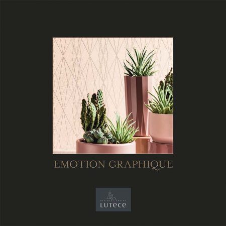 Emotion Graphique